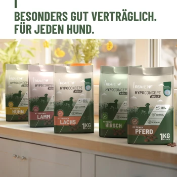 3-kg-Beutel HYPOCONCEPT ADULT Hundefutter, 'MIT FRISCHEM LACHS' auf grün/beiger Verpackung mit einem Lachsfilet abgebildet.
