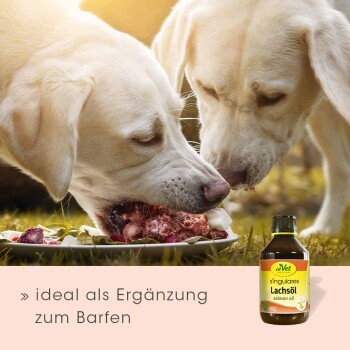 Zwei weiße Hunde, die von einem Teller mit rohem Futter essen, mit einer Flasche Lachsöl, die "ideal als Ergänzung zum Barfen" beschriftet ist, neben ihnen.