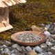 Ein kleiner Vogel steht neben einem Holzvogelhaus und pickt an einem Teller mit Sonnenblumenkernen, umgeben von Kieselsteinen und Moos.