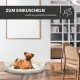 Ein kleiner brauner Hund, der sich in einem gemütlichen gestreiften Hundebett entspannt, mit dem Text "ZUM EINKUSCHELN schafft ein gemütliches Ambiente" darüber.
