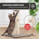 Getigerte Katze kratzt an einem vertikalen Sisal-Kratzbaum mit hängendem Ballspielzeug, deutscher Text über Krallenpflege und Spiel.