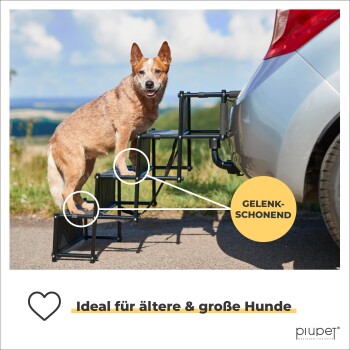 Ein brauner Hund, der eine Haustierrampe benutzt, die an einem Auto befestigt ist, mit Text, der 'Gelenk-schonend' und 'Ideal für ältere & große Hunde' hervorhebt.