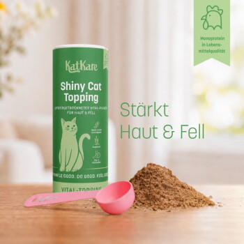 Graue Katze sitzt auf dem Tisch neben einer grünen Dose 'KatKare Shiny Cat Topping', rosa Schaufel und einem Haufen Pulver.