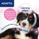 A close-up of a calm puppy's face with a blue collar, featuring text about ADAPTIL's calming pheromone effects and detection process.