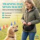 Eine Frau in einer weißen Bluse und Jeans führt einen schwarz-weißen Hund an der Leine in einem sonnigen Park, während sie einen Tennisball und eine Tüte hält.