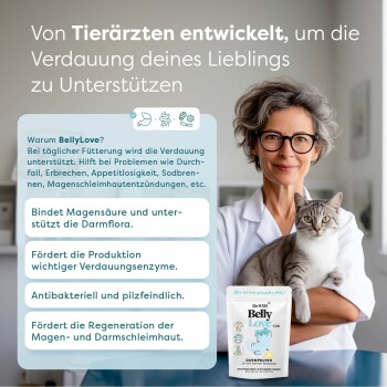 Werbung für ein Haustierernährungsprodukt mit einem Tierarzt, der eine Katze hält, und bewirbt 'BellyLove' zur Unterstützung der Verdauung mit aufgelisteten Hauptvorteilen.