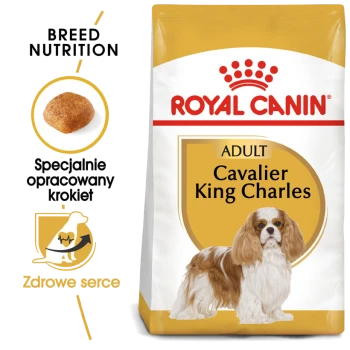 Karma dla dorosłych psów Royal Canin dla Cavalier King Charles, z zdjęciem rasy, z tekstem podkreślającym odżywianie rasy i zdrowie serca.