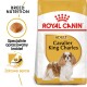 Karma dla dorosłych psów Royal Canin dla Cavalier King Charles, z zdjęciem rasy, z tekstem podkreślającym odżywianie rasy i zdrowie serca.
