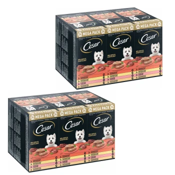 Karma dla psów Cesar 24 Mega Pack, oferująca 100% pełnowartościowe i odżywcze posiłki, z obrazkami mięsnych dań na opakowaniu.