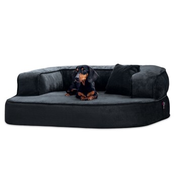® SHARLEEN VISCO PLUS - Orthopädisches Hundesofa mit kuscheligem Teddystoff anthrazit 1 m, 40 cm, 80 cm