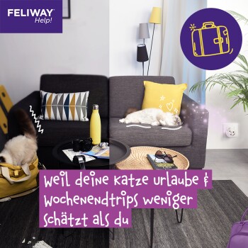 Feliway (CEVA Tiergesundheit GmbH) Le flacon de recharge FELIWAY