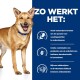 Een blije bruine hond met een blauwe halsband staat naast tekst die de voordelen van huisdiervoeding beschrijft: verteerbare formule, prebiotica, en antioxidanten.