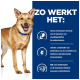 Een blije bruine hond met een blauwe halsband staat naast tekst die de voordelen van huisdiervoeding beschrijft: verteerbare formule, prebiotica, en antioxidanten.