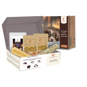 Paket "Morgenstunde" M