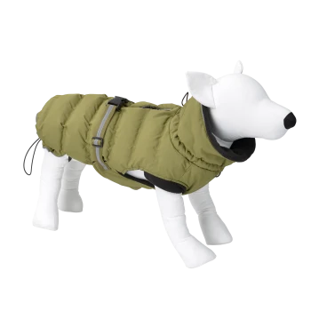 Un chien mannequin blanc portant une veste matelassée verte avec une capuche et des sangles ajustables, mettant en valeur un design de vêtements pour animaux élégant.