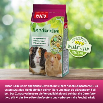Eine Tasche mit PANTO-Meerschweinchenfutter, auf der Vorderseite mit zwei Meerschweinchen, mit Text, der eine ausgewogene Mischung, natürliche Pflanzenfasern und zusätzliches Vitamin C hervorhebt.