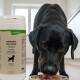 Schwarzer Hund, der aus einem Napf neben einem Behälter mit Lecker.pet Barfer's Solution Complete Hundenährstoffmischung frisst.