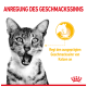 Nahaufnahme einer überraschten getigerten Katze mit offenem Mund, neben einer Grafik einer Katze, die frisst. Text: "ANREGUNG DES GESCHMACKSSINNS."