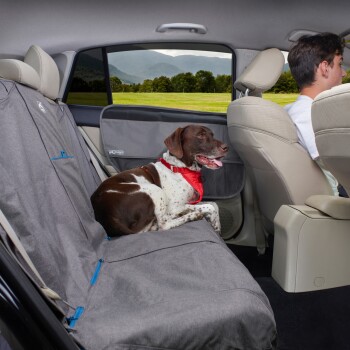 Auto Sitzbezug Cover Up für Hunde