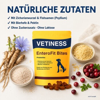 Gelbe VETINESS EnteroFit Bites-Tasche (Hund-Probiotika) mit Hundesilhouette, umgeben von Chicorée-Wurzel, Flocken und Cranberries; ‚NATÜRLICHE ZUTATEN‘.