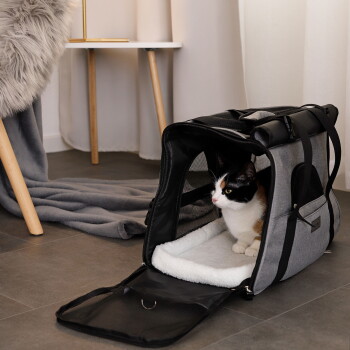 Dreifarbige Katze sitzt in einer geöffneten grauen, weichen Transporttasche mit weißer Plüschauflage auf dem Boden, im Hintergrund Stuhl und Decke.