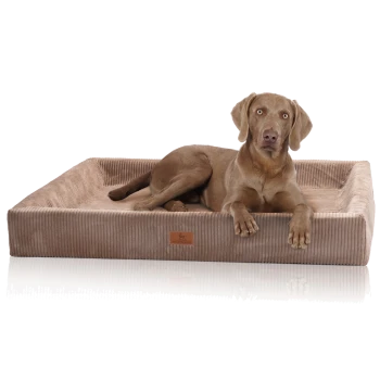 Brauner Hund liegt in einem rechteckigen beigen Cordstoff-Haustierbett mit erhöhten Seiten und einem kleinen Leder-Logoschild an der Vorderseite.