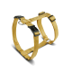 Goldfarbenes verstellbares Nylon-Hundegeschirr mit schwarzer Kunststoffschnalle mit Aufdruck 'WOLTERS' und Metall-D-Ringen.