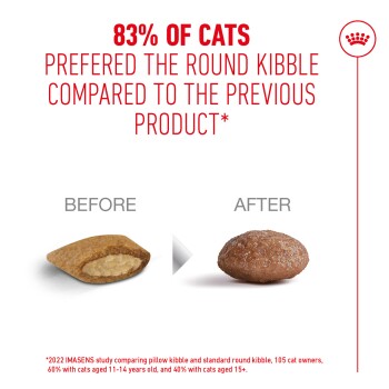 83% of cats preferred the round kibble over the previous pillow-shaped kibble, study details included.