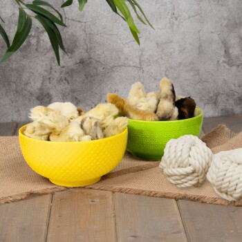 Zwei bunte Schalen, eine gelbe und eine grüne, gefüllt mit Hundekauspielzeugen, die Tierpfoten ähneln, neben zwei weißen Seilspielzeugen auf einem Jutesack.