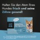 Petstile Dental Petbiotics Hundezusatzbox mit lächelndem Hund, bewirbt frischen Atem und gesunde Zähne im deutschen Text.