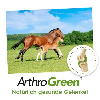 Ein braunes Pferd und sein Fohlen laufen zusammen auf einer grünen Wiese unter einem blauen Himmel. Das Bild zeigt den Text 'ArthroGreen' und 'Natürlich gesunde Gelenke!'