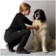 Eine Frau in schwarzer Kleidung interagiert sanft mit einem großen, flauschigen Hund und zeigt einen fürsorglichen Moment in einem Tiergeschäft.