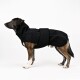 Eine Seitenansicht eines mittelgroßen Hundes, der einen schwarzen, stilvollen Haustiermantel mit einem Reißverschlussdesign und einem sicheren Gürtel um die Taille trägt.