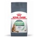 Royal Canin Digestive Care kattenvoerzak met een bruine tabby kat, met tekst die ondersteuning voor een gezonde spijsvertering en bewezen resultaten benadrukt.