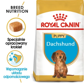 Torba z karmą dla szczeniąt Royal Canin dla rasy dachshund, oferująca żywienie specyficzne dla rasy, z informacjami o krokietach i wsparciu układu odpornościowego.