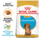 Torba z karmą dla szczeniąt Royal Canin dla rasy dachshund, oferująca żywienie specyficzne dla rasy, z informacjami o krokietach i wsparciu układu odpornościowego.
