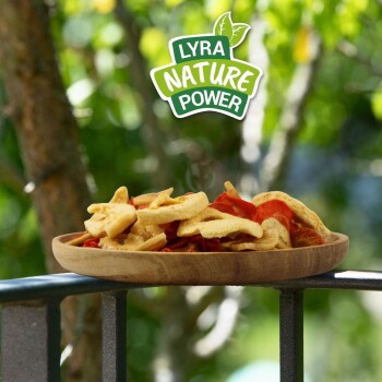 Holzplatte mit verschiedenen getrockneten Haustierleckerlis auf einem Geländer, darüber das Logo "Lyra Nature Power".