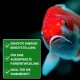 Nahaufnahme eines lebhaften rot-weißen Koi-Fisches mit grünem Text: "Erhöhte Energie-Bereitstellung," "Farbentwicklung," "Ideal für den Sommer."
