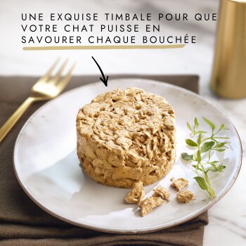 Timbale de pâtée pour chat ronde sur une assiette blanche avec garniture d'herbes et fourchette dorée ; texte français : «UNE EXQUISE TIMBALE...»