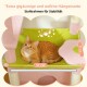 Eine flauschige orangefarbene Katze liegt auf einem rosa, blütenförmigen Sitzplatz mit grünem Zentrum, Teil eines Haustiermöbelsets mit zwei Sitzplätzen.