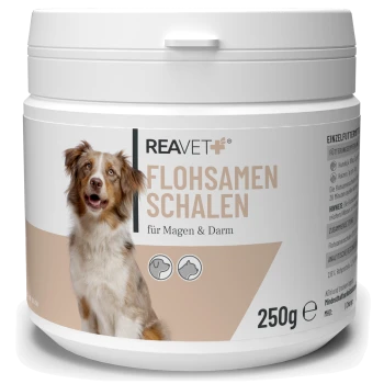 Behälter mit REAVET Flohsamen Schalen (Psylliumschalen) für Hunde, 250g, mit einem glücklichen Hund auf dem Etikett und Text in deutscher Sprache.