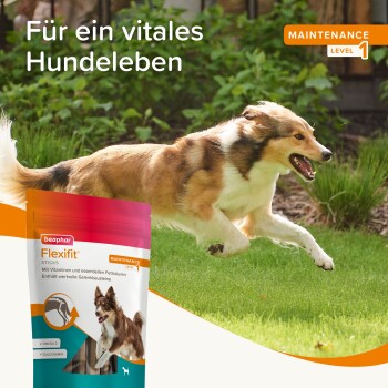 Ein glücklicher Hund, der auf Gras läuft, neben einem Paket Beaphar Flexifit Sticks, beschriftet mit 'Für ein vitales Hundeleben' und 'MAINTENANCE LEVEL 1.'