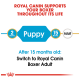 Royal Canin graphic showing support for Boxers, indicating "Puppy" from 2 months to 15 months, then "Adult" after 15 months.