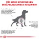 Illustration eines Hundes mit hervorgehobenem Gelenk, mit Text auf Deutsch über Gelenkprobleme bei Hunden und deren Auswirkungen auf die Lebensqualität.