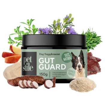 Hundezusatzmittel-Glas mit der Aufschrift 'GUT GUARD' und einem Bild eines Border Collies, umgeben von natürlichen Zutaten wie Äpfeln, Kräutern und Wurzelstücken.