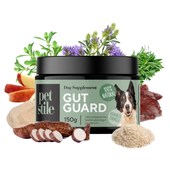 Hundezusatzmittel-Glas mit der Aufschrift 'GUT GUARD' und einem Bild eines Border Collies, umgeben von natürlichen Zutaten wie Äpfeln, Kräutern und Wurzelstücken.
