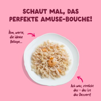 Weißer Teller mit zerpflücktem Meeresfrüchte-Nassfutter auf rosa Hintergrund. Deutscher Titel: 'SCHAUT MAL, DAS PERFEKTE AMUSE-BOUCHE!'