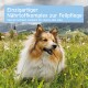 Ein glücklicher Collie-Hund sitzt auf einer Wiese mit Wildblumen, begleitet von einem Text, der einen speziellen Nährstoffkomplex für Fell- und Hautpflege bewirbt.