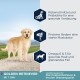 Golden Retriever auf einem Weg mit Text über gesunde Verdauung, starke Muskeln und Vorteile für Haut & Fell.