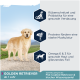 Golden Retriever auf einem Weg mit Text über gesunde Verdauung, starke Muskeln und Vorteile für Haut & Fell.